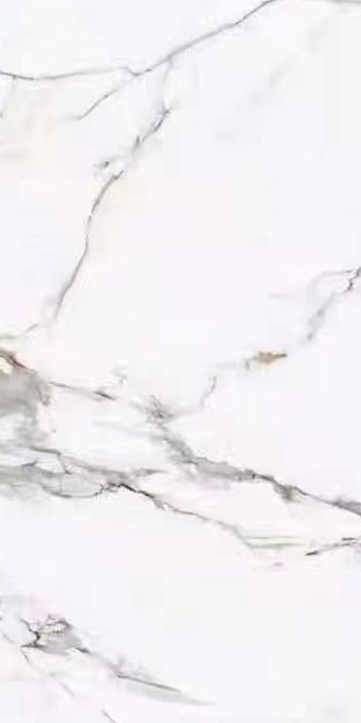 鱼肚金